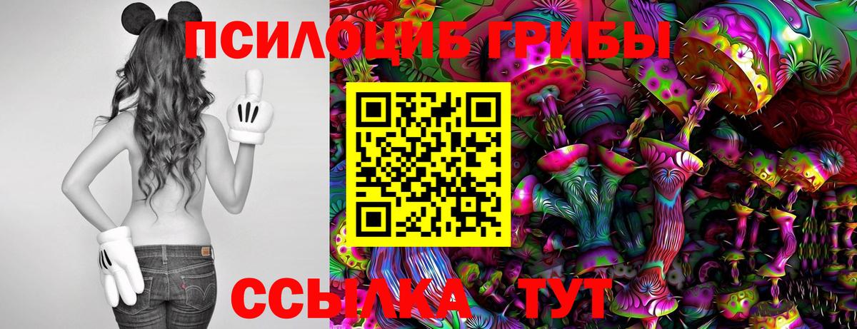 Кандалакша  Псилоцибиновые грибы Psilocybe  Вход с VPN  Галлюциногенные грибы GOLDEN TEACHER 